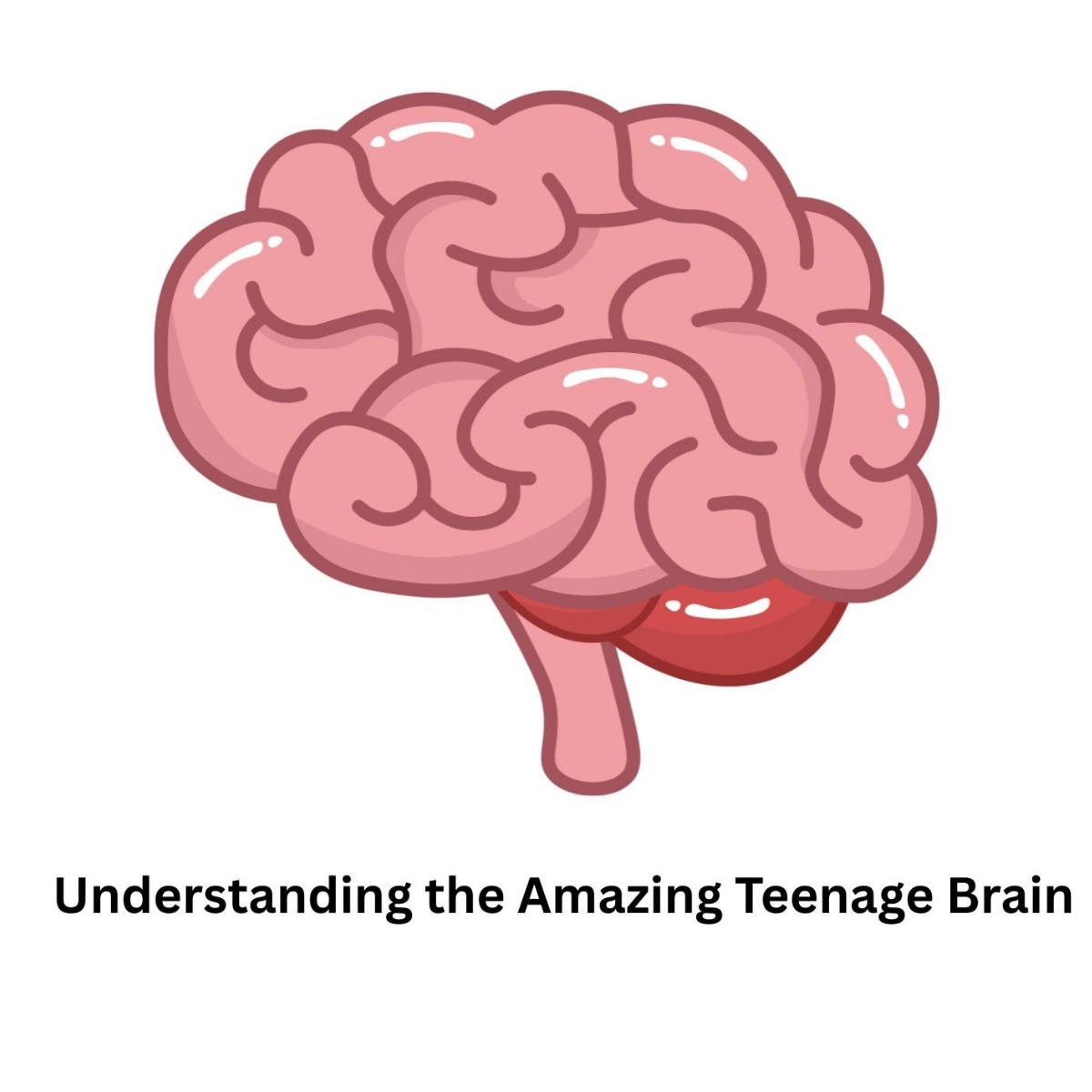 Dane Court Grammar School - Understanding the Amazing Teenage Brain ...